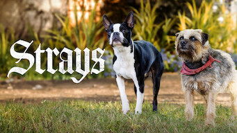 Strays (2023)