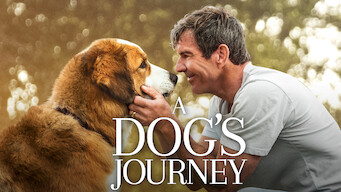 A Dog's Journey (2019)