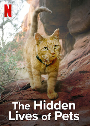 The Hidden Lives of Pets